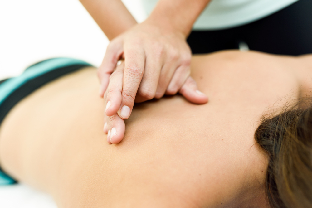 Imagen Así trabajamos en Jemastema